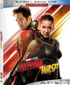 SkymoviesHD in - Ant Man and the Wasp <span style=color:#777>(2018)</span> Hollywood BluRay 720p HEVC x264 Original Audios [Hindi (Orginal) OR Eng] ESub [750MB]