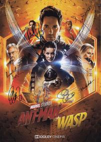 SkyMoviesHD org _-_ Ant Man and the Wasp<span style=color:#777> 2018</span> FRENCH BDRip XviD<span style=color:#fc9c6d>-EXTREME</span>