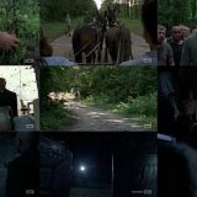 The Walking Dead S09E03 HDTV x264<span style=color:#fc9c6d>-SVA[rarbg]</span>