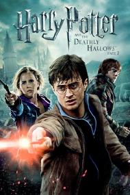 Harry Potter and the Deathly Hallows - Part 2 DVD-R Oficial <span style=color:#777>(2011)</span>