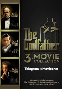 The Godfather Trilogy Collection (1972-1990) 720p Bluray x264 Dual Audio [Hindi - English] ESUB ~Saransh