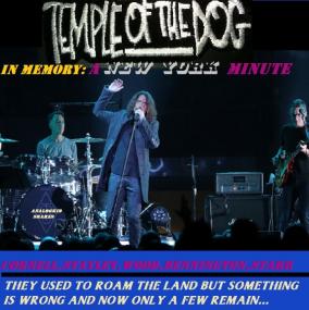 Temple of the Dog - In Memory A New York Minute (Deluxe 2CD) ak320
