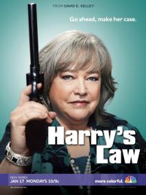 Harrys Law S01E06 HDTV XviD-LOL <span style=color:#fc9c6d>[eztv]</span>