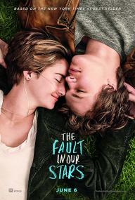 The Fault in Our Stars DVDR Oficial <span style=color:#777>(2014)</span>