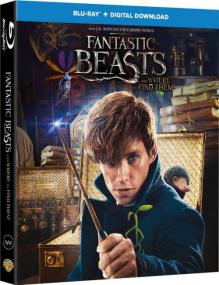 Fantastic Beasts and Where to Find Them <span style=color:#777>(2016)</span> [BDRip - Tamil + Telugu - x264 - 400MB - ESubs]