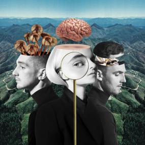 Clean Bandit - What Is Love_(Deluxe) <span style=color:#777>(2018)</span> [320]