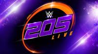 WWE 205 Live<span style=color:#777> 2018</span>-12-05 720p WEB h264<span style=color:#fc9c6d>-HEEL</span>