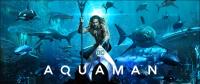 Aquaman<span style=color:#777> 2018</span> 720p HDCAM x264 XViD-NVM
