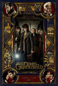 Fantastic Beasts The Crimes of Grindelwald YG