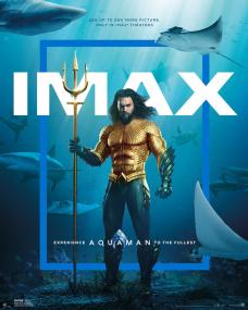 UMovies ga - Aquaman <span style=color:#777>(2018)</span>[1080p - iMax HDRip - HQ Line Auds [Tamil + Telugu + Hindi + Eng] - x264 - 2.5GB - ESubs]