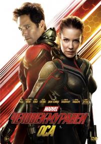 Ant-Man and the Wasp <span style=color:#777>(2018)</span> DVD9 R5