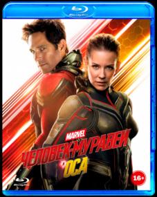 ANT_MAN_AND_THE_WASP__EUR_BLUEBIRD