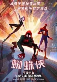 蜘蛛侠：平行宇宙 Spider-Man Into the Spider-Verse<span style=color:#777> 2018</span> BD720P 英语中英双字 BTDX8