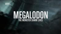 Megalodon The Monster Shark ts