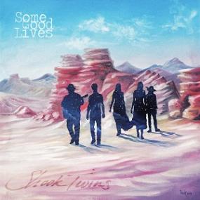 <span style=color:#777>(2019)</span> Shook Twins - Some Good Lives [FLAC,Tracks]