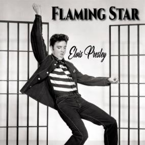 Elvis Presley - Flaming Star <span style=color:#777>(2019)</span> Mp3 320kbps Quality Album [PMEDIA]