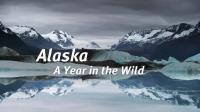 Ch5 Alaska A Year in the Wild 1080p HDTV x265 AAC