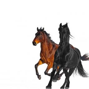 Lil Nas X - Old Town Road Remix ft  Billy Ray Cyrus [2019-Single]