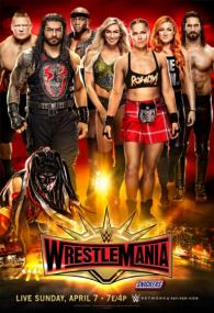 WWE WrestleMania 35 PPV<span style=color:#777> 2019</span> 720p HDTV x264<span style=color:#fc9c6d>-VERUM</span>