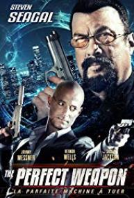 The Perfect Weapon [2016] BRRip XviD-BLiTZKRiEG