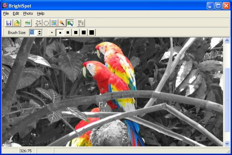 ImageElements BrightSpot v1.2 Software + Crack