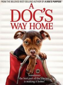 A Dog's Way Home<span style=color:#777> 2019</span> HDRip