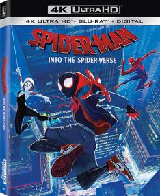 Spider Man Into The Spider Verse<span style=color:#777> 2018</span> MULTi 2160p HDR BDRip x265-REFLUX