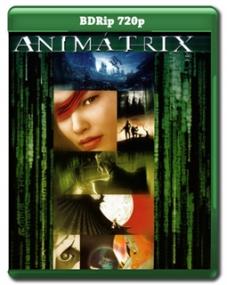 The Animatrix BDRip 720p DXVA