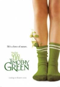 La Extrana Vida De Timothy Green [BluRay Rip][AC3 5.1 Castellano][2013]
