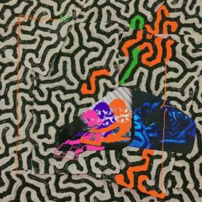 Animal Collective - Tangerine Reef <span style=color:#777>(2018)</span> FLAC