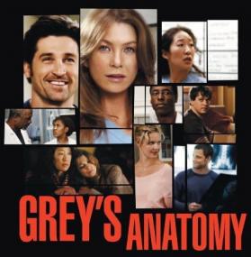Grey's Anatomy S07E05 HDTV XviD<span style=color:#fc9c6d>-LOL</span>