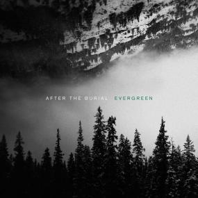 After The Burial - Evergreen <span style=color:#777>(2019)</span> [320]