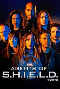 Marvel's Agents of S.H.I.E.L.D.  S06 <span style=color:#777>(2019)</span> WEBRip <span style=color:#fc9c6d>[Gears Media]</span>