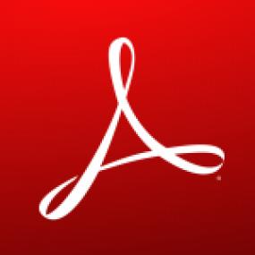 Adobe Acrobat Pro DC<span style=color:#777> 2019</span>.012.20034 Final + Patch