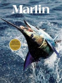 Marlin - June<span style=color:#777> 2019</span>