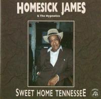 Homesick James - Sweet Home Tennessee (blues)(mp3@320)[rogercc][h33t]
