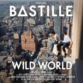 Bastille - Discography [2013-2019] (320)