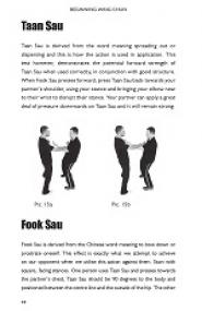 Beginning Wing Chun - Why Wing Chun Works