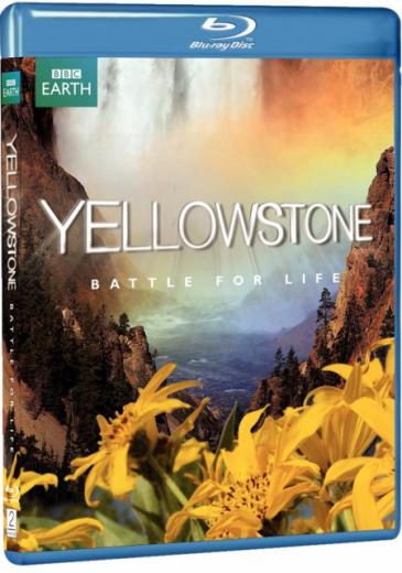 Yellowstone Battle For Life<span style=color:#777> 2009</span> BRRip x264 AAC -Dita496
