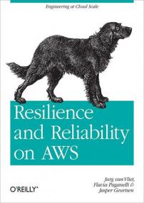 Resilience and Reliability on AWS- Engineering at Cloud Scale (ePUB)