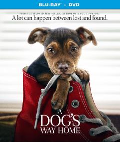 A Dog's Way Home <span style=color:#777>(2019)</span>[BDRip - Tamil Dubbed (Org Auds) - XviD - MP3 - 700MB - ESubs]