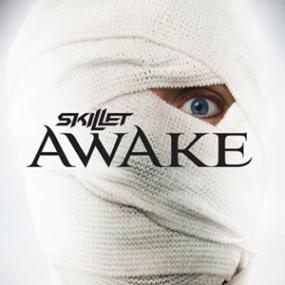 Skillet - Awake <span style=color:#777>(2009)</span> [24-96 Hi-Res]