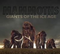 Мамонты_ гиганты ледникового периода ts