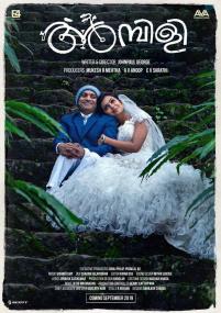 Ambili <span style=color:#777>(2019)</span> [Malayalam - HQ DVDScr - x264 - 700MB - HQ Line Audio]