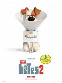 The Secret Life of Pets 2<span style=color:#777> 2019</span> FRENCH 1080p WEB-DL x264<span style=color:#fc9c6d>-SKRiN</span>