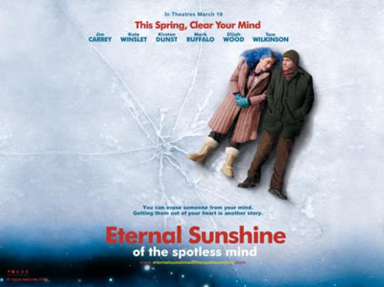 Eternal Sunshine of the Spotless Mind - DVDrip DivX NL Dutch Subs
