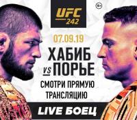 UFC 242 - Khabib vs  Poirier