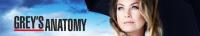 Grey's Anatomy S16E01 WEB x264<span style=color:#fc9c6d>-PHOENiX[TGx]</span>