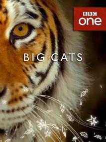 BBC：[大猫：终极猎食者] 全叁集 DVB国语 简繁双语特效