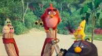 The Angry Birds Movie 2 <span style=color:#777>(2019)</span>[720p HDRip - HQ Line Audio - [Hin + Telugu + Tamil + Eng] - x264 - 950MB - ESubs]